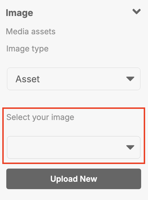 Media Assets Inspector Option